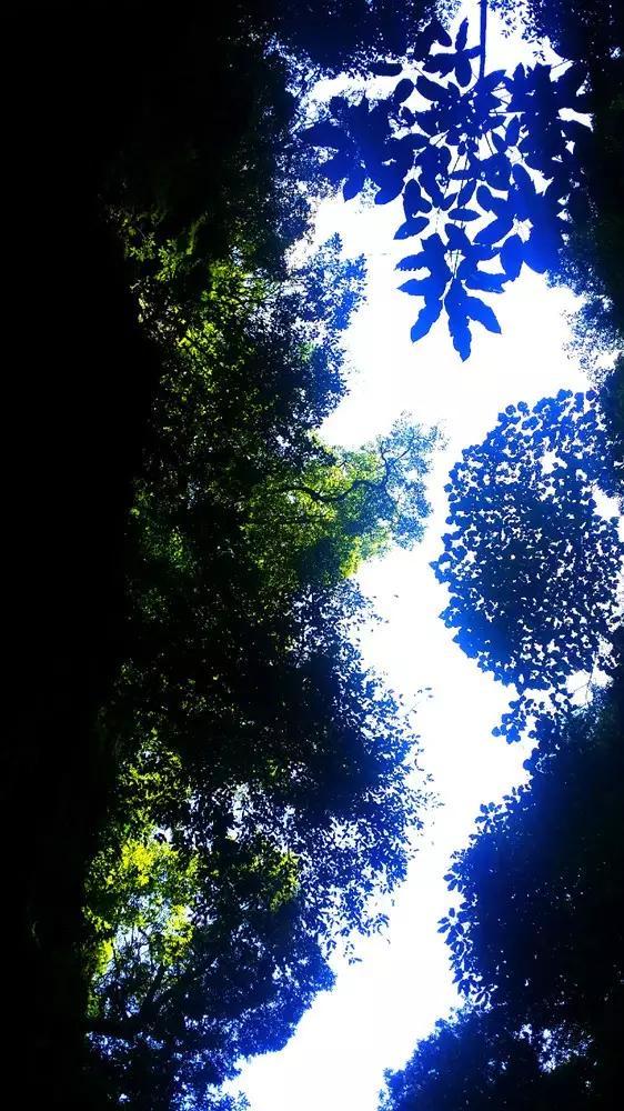 马仲英的结局：盛世才怕他回来夺权，遂鼓动斯大林，将其秘密处决